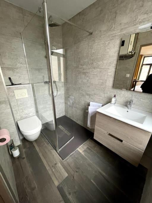 Cosy Studio Lumineux Metz Hypercentre 외부 사진